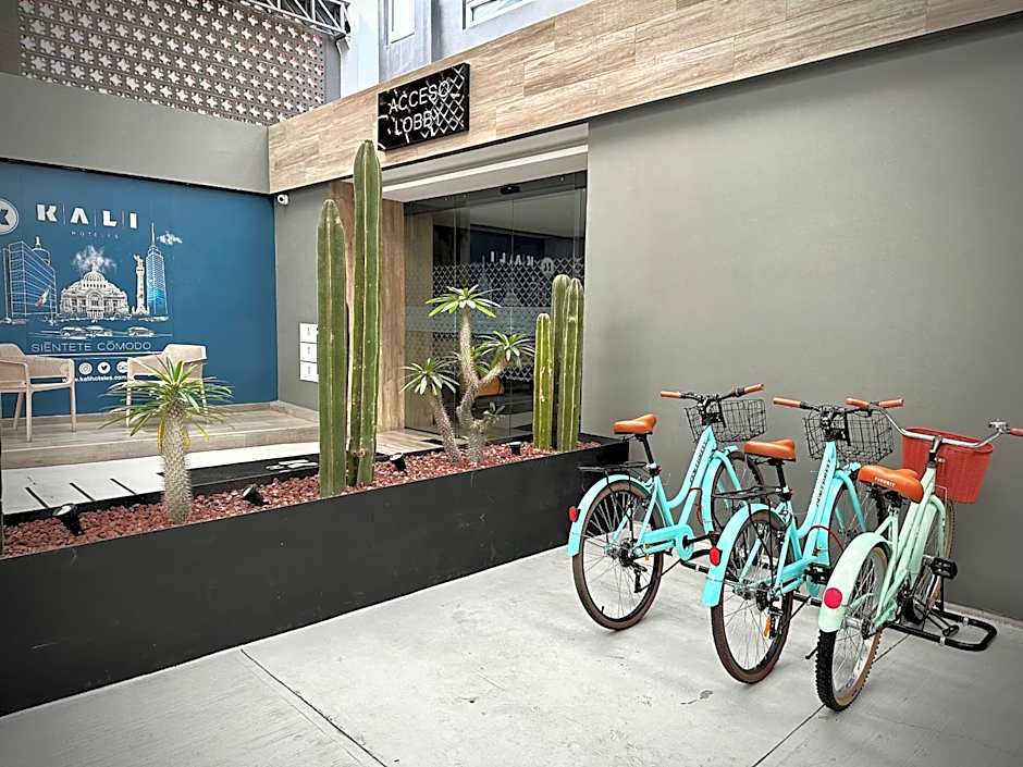 Kali Centro Mexico City