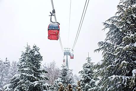 Hotel Màgic Ski by Nexta