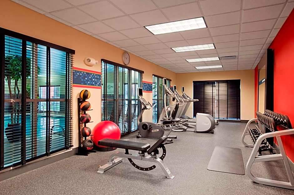 Hampton Inn By Hilton And Suites Detroit/Airport-Romulus
