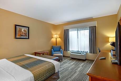King Room with Walk-in Shower - Disability Access