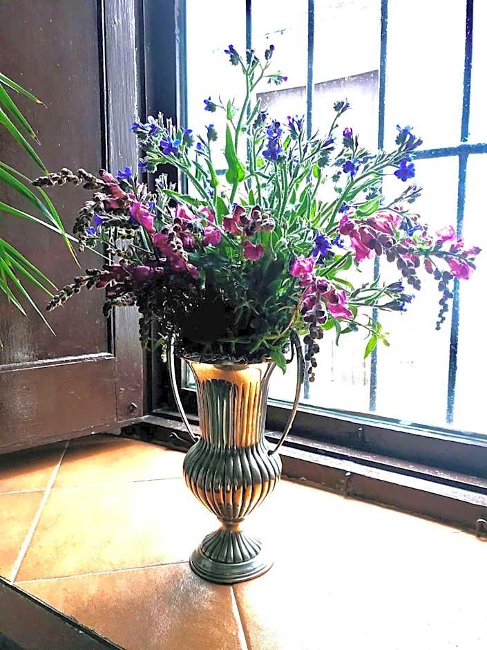 Casa Antigua - Terraza con Vistas al Mar