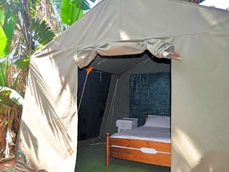 Basic Tent