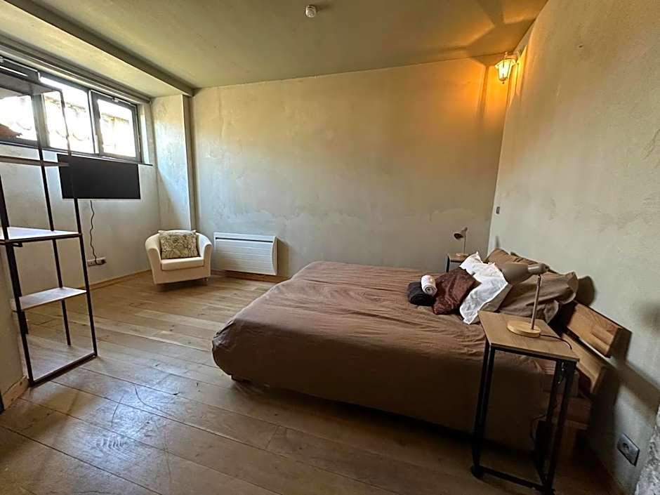Mulhouse City Loft