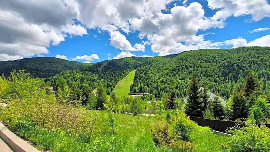 Restaurant Casa Nicolenco Azuga by Genco