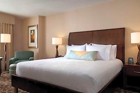 1 King Bed