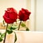 Nerva Accommodation Cavour