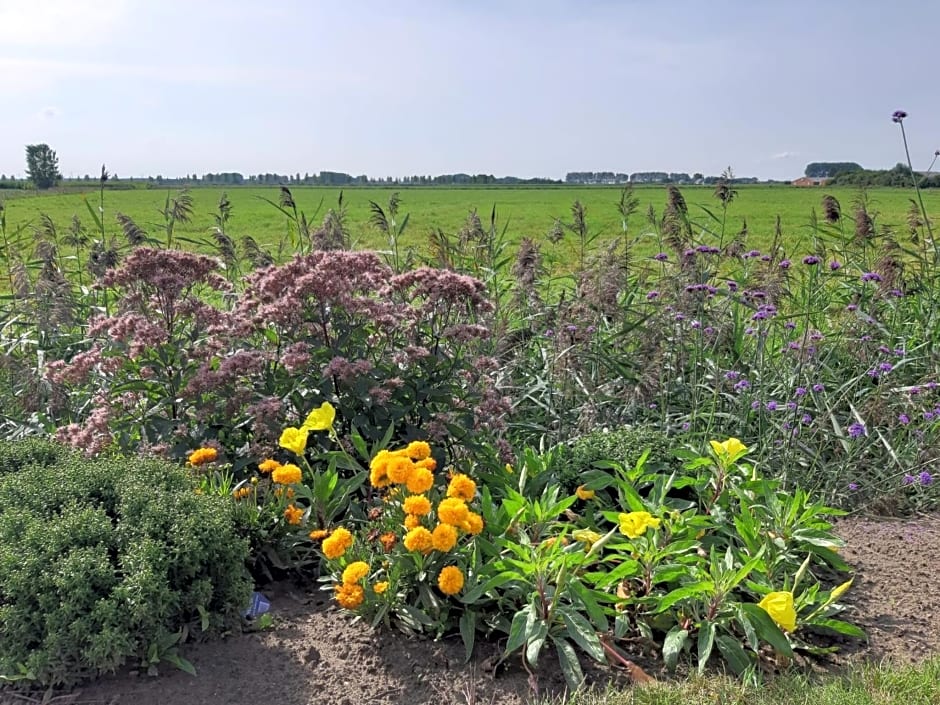 B&B De Hemelse Polder