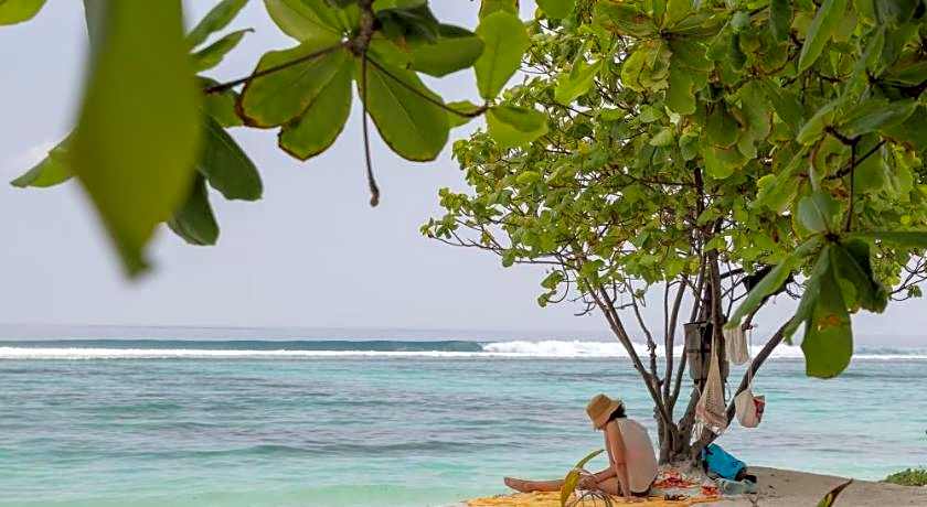 The White Harp Beach Hotel