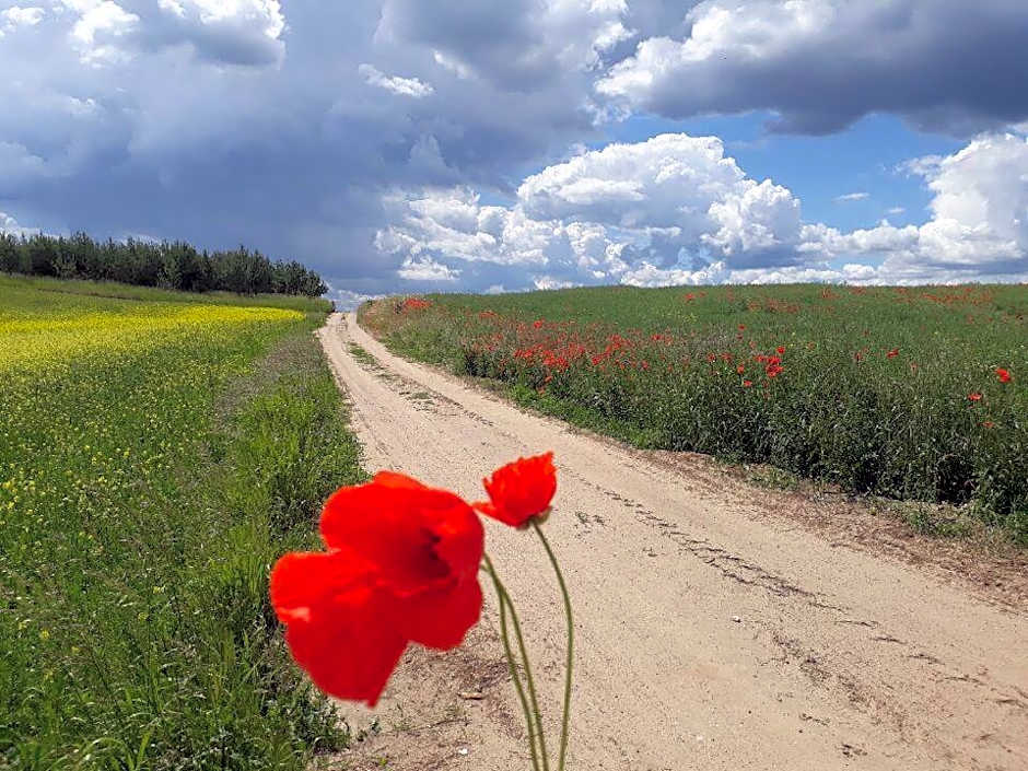Domek na Skraju Wsi dostęp do jeziora UBLIK