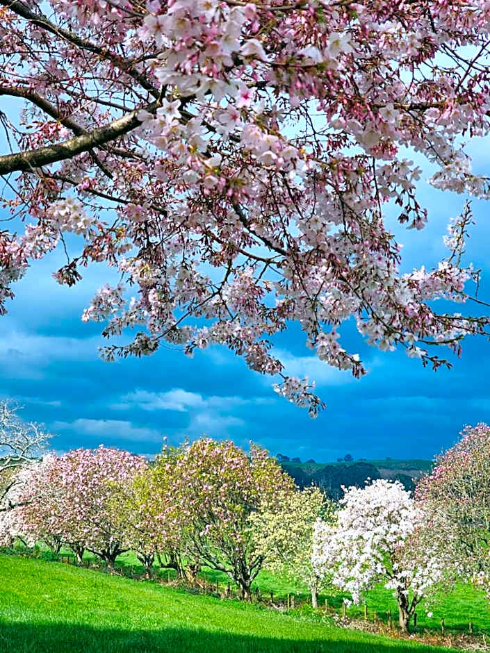 Lakeview Lodge Karapiro