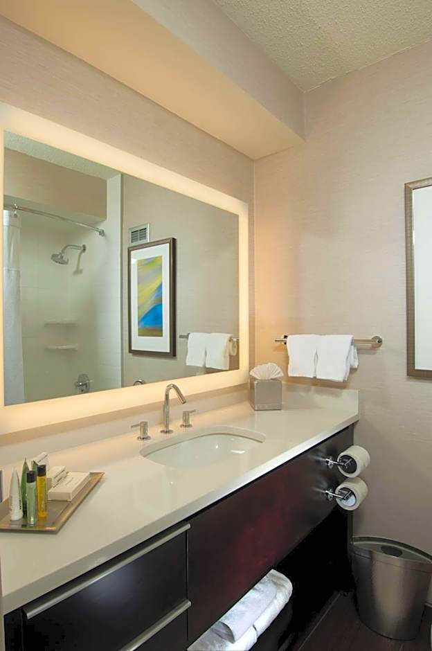 Hilton Albany