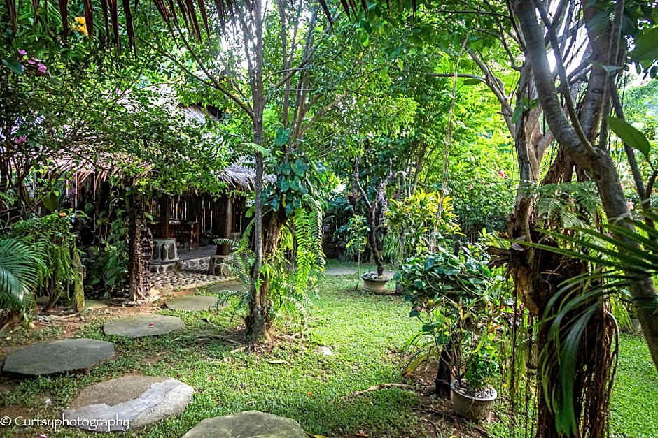 Green Travelodge Bukit Lawang