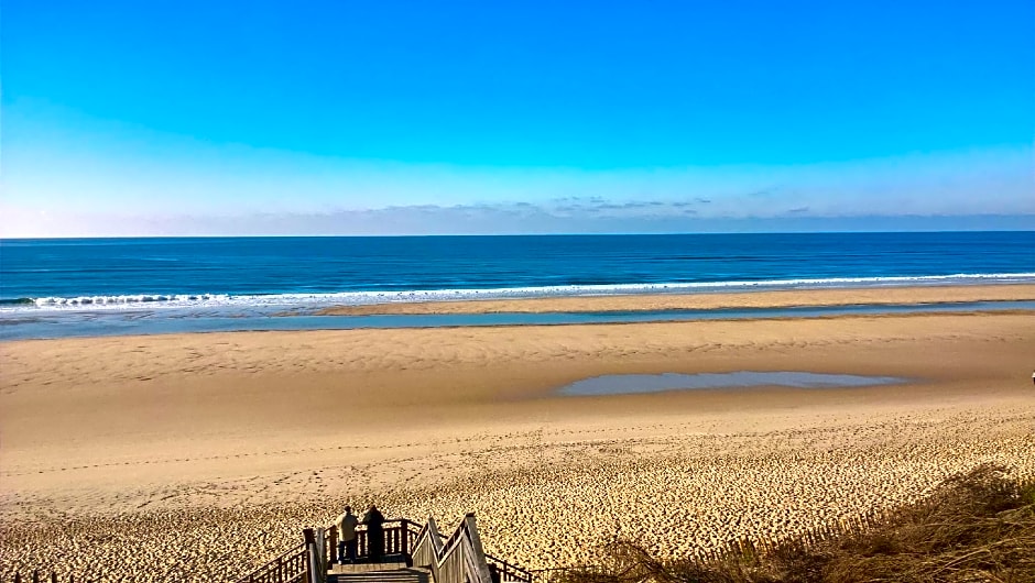 Les Calicots Sanguinet