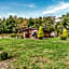 Gadlas Park Holiday Cabins