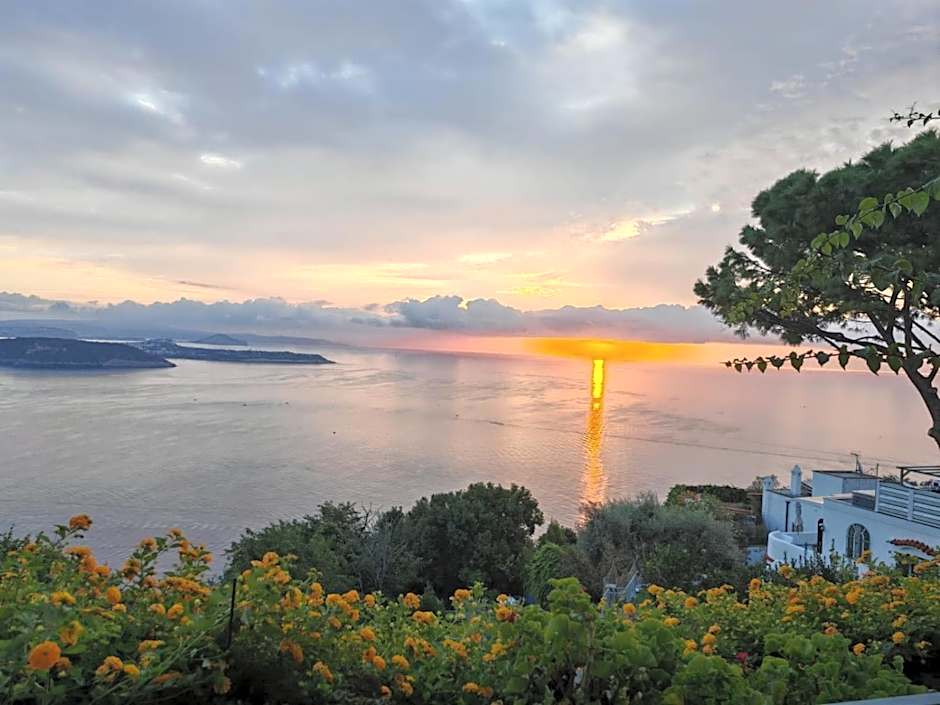 La Pergola del Torchio