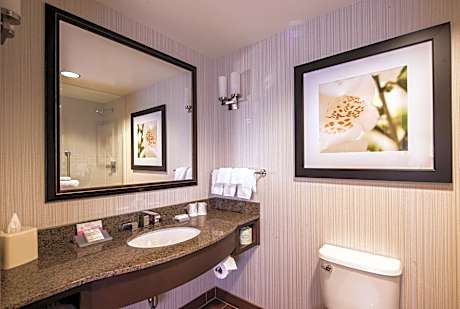 1 King Hearing Accessible Room