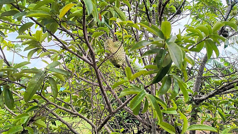 Pousada Recanto do Sossego