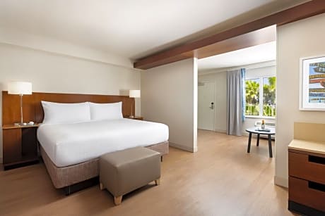King Suite with Sofa Bed - Mobility/Hearing Accessible with Roll-In Shower
