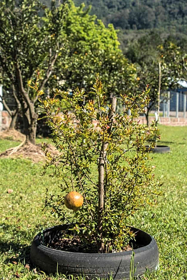 Pousada Villa Romantica