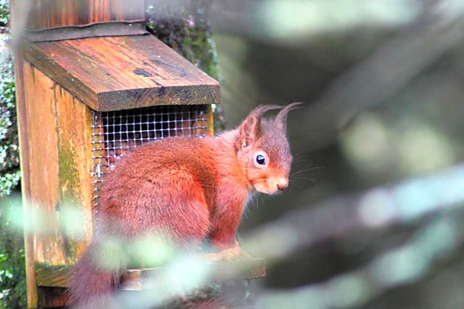 The Brander Lodge Hotel and Bistro