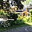 The Stella Rose B&B