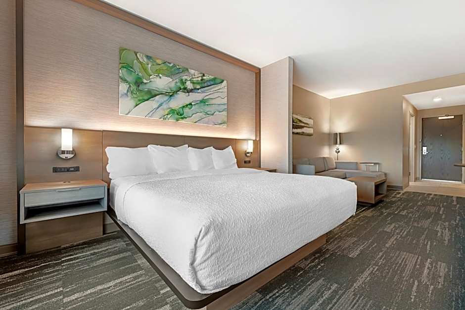 Photo 1 of 5 of 1 King Bed with Sofabed Suite, Bathtub