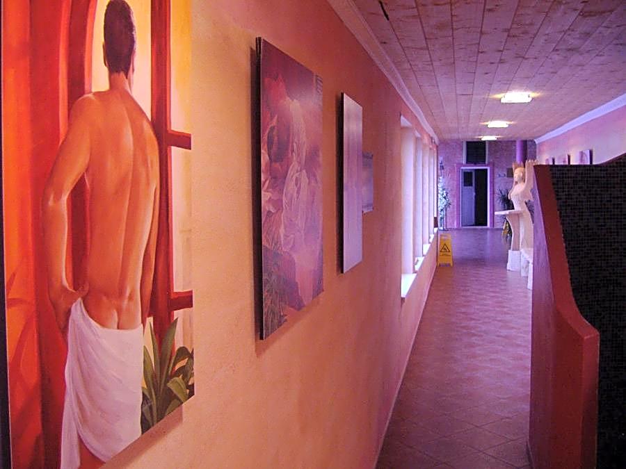 Wellness Hotel Bahenec