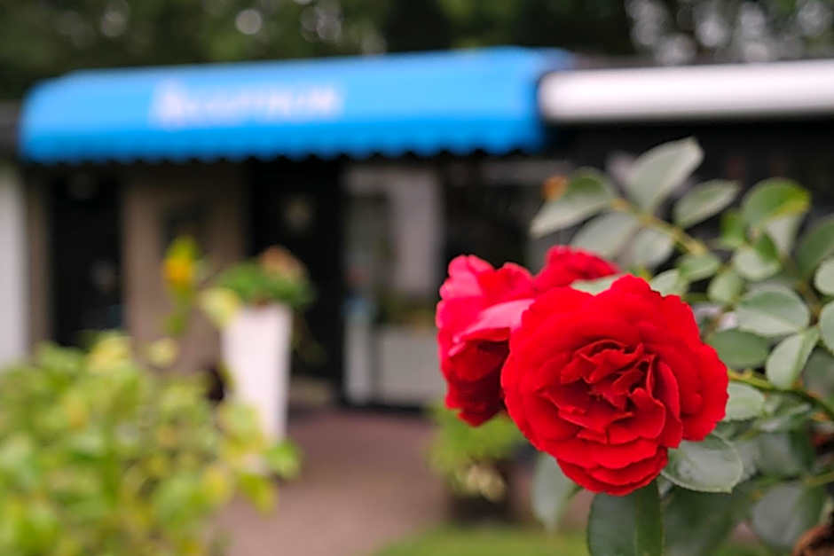 Am Hallenbad Hotel garni