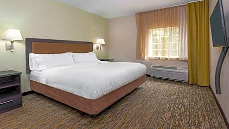One-Bedroom King Suite with Sofa Bed