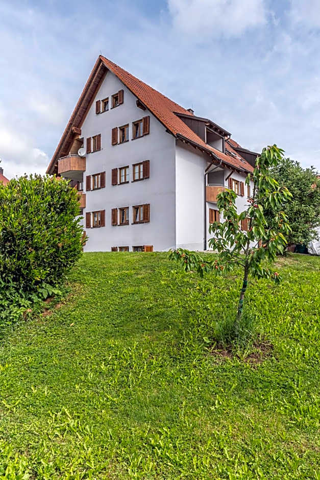 RH-Appartements 15 Minuten von Basel im Dorf Rührberg