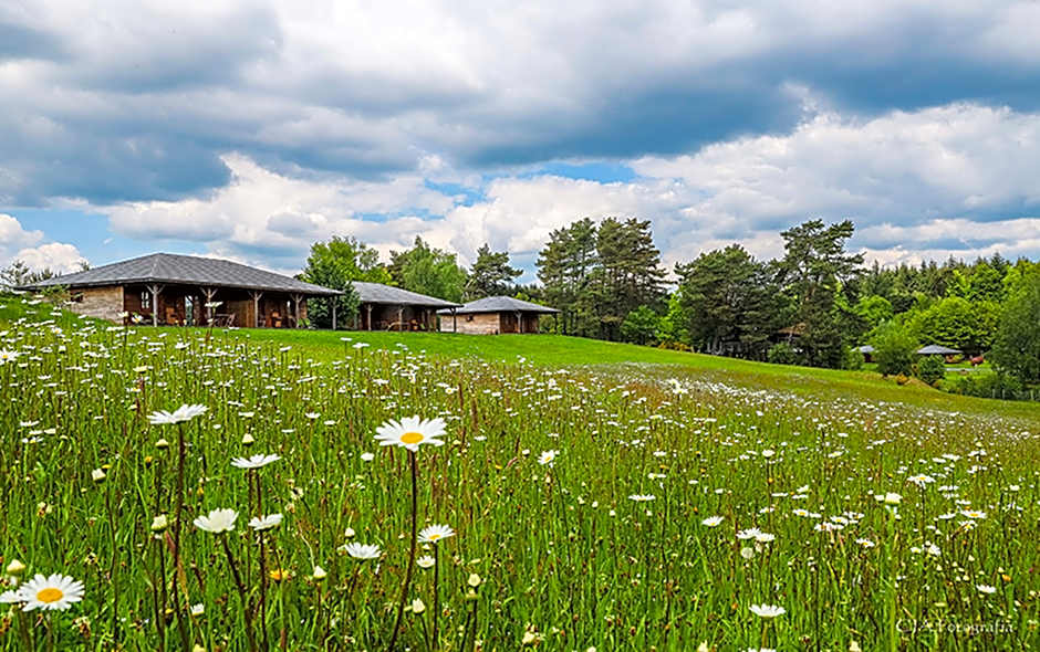 Le Domaine des Monedieres