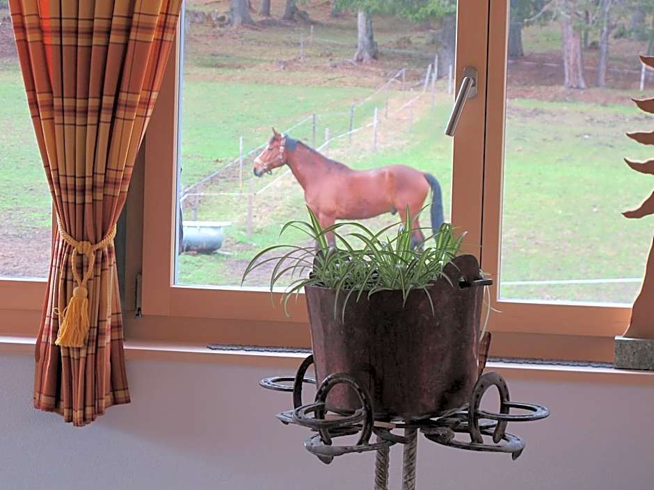 Reitstall und Saloon San Jon