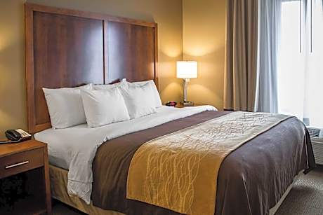 1 King Bed, Nonsmoking, Accessible