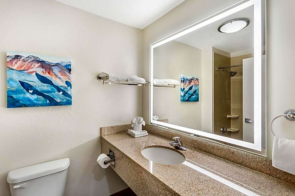 Best Western Plus Airport Inn & Suites