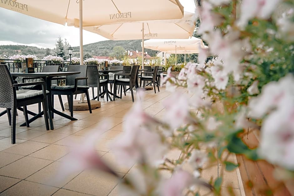 Hotel Le Mont Medical & SPA