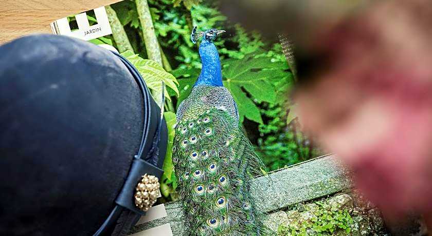 Domus Blanc Boutique Hotel