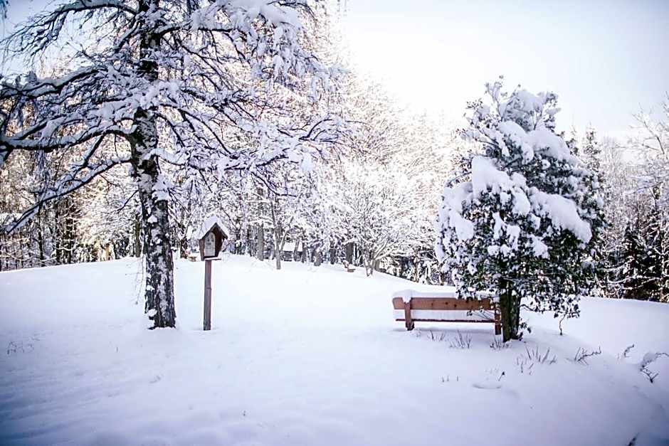 Hotel garni Kranzbichlhof