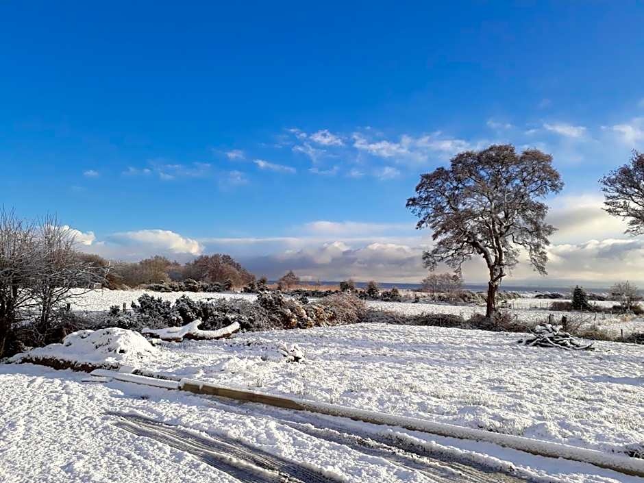 Cherrytree House B&B