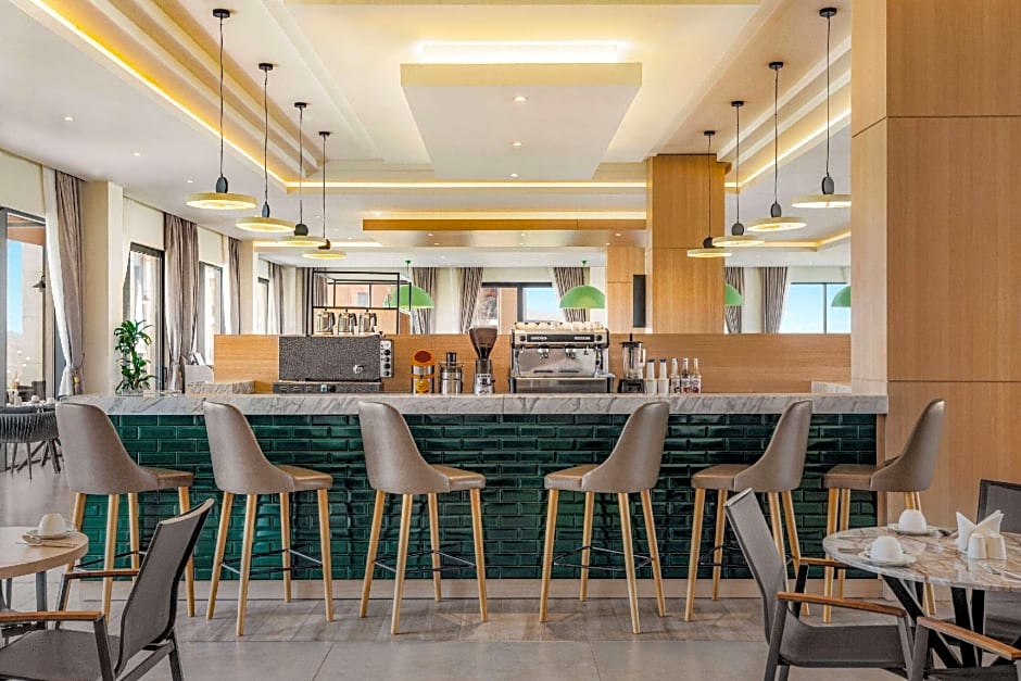 Wyndham Garden Zomin