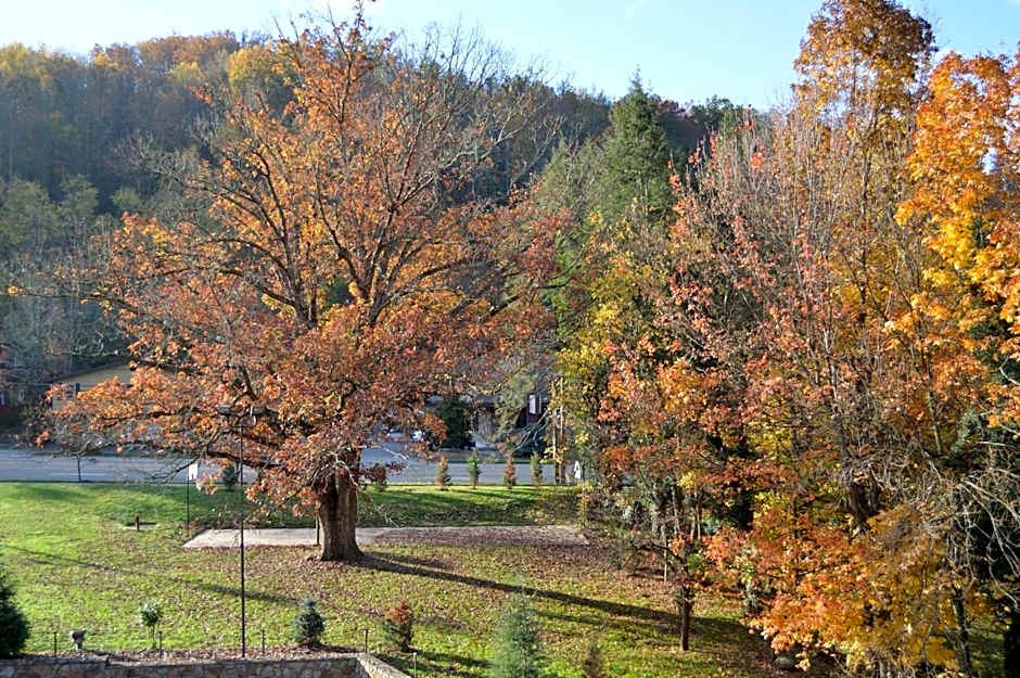 Brookside Lodge by FairBridge