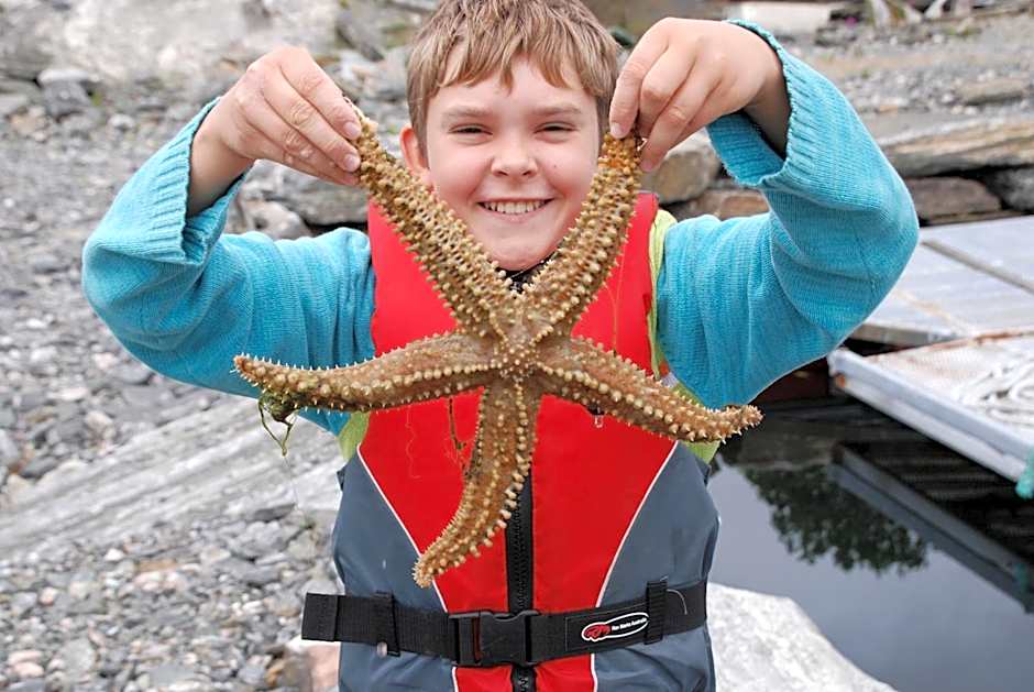 Sotra Rorbusenter