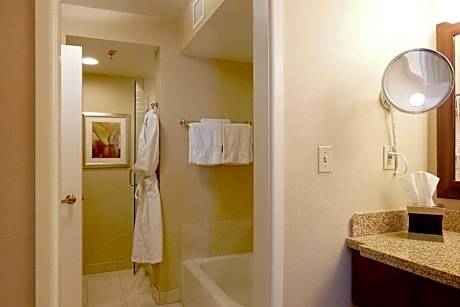 Suite, 1 Bedroom (1 Queen Bed)