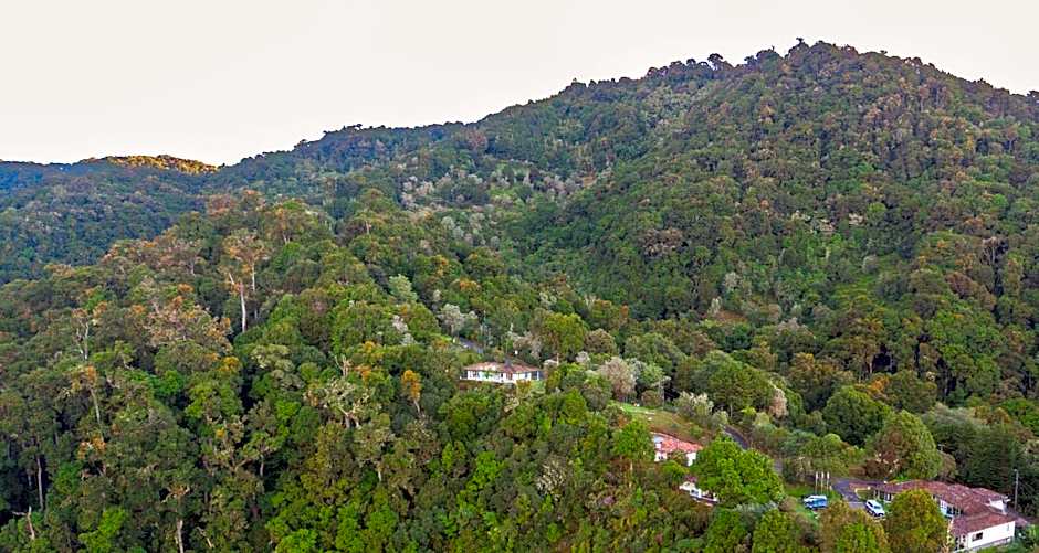 Dantica Cloud Forest Lodge