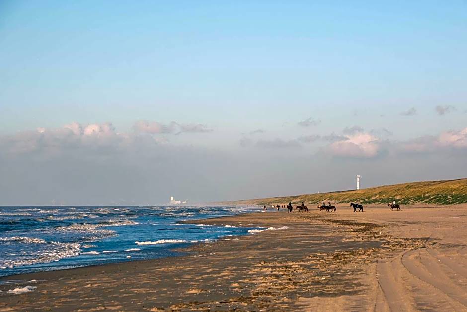 The Flying Pig Beach Hostel Age 18 to 40