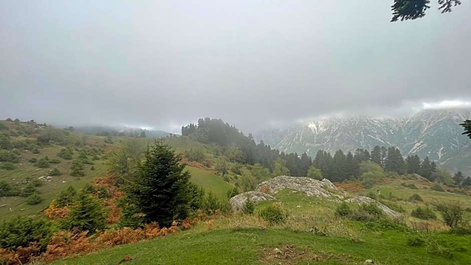 ΠΕΤΡΑΣΤΕΡΟ rooms