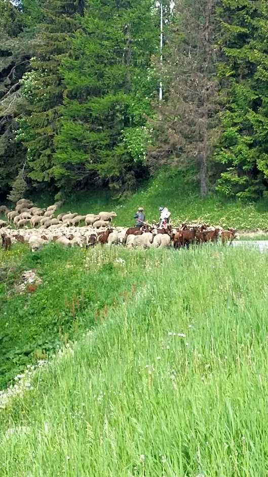 Auberge Restaurant du Virage