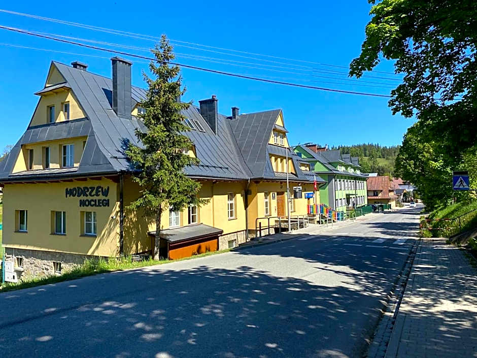 MODRZEW - noclegi w Pyzówce