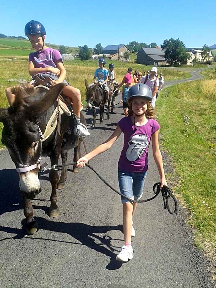 VVF Haute Loire Saint-Julien-Chapteuil