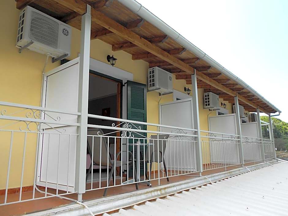 Anemona Studios