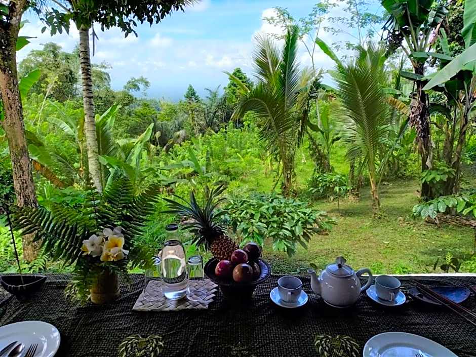 Bali mountain forest cabin